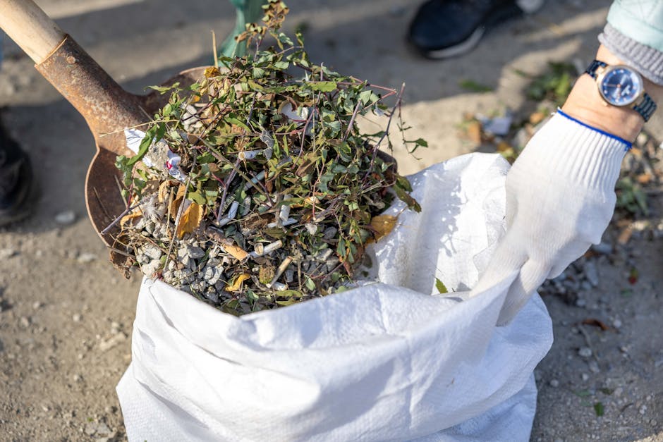 A person wearing a white glove and a wristwatch is holding a large white woven polypropylene sack filled with garden debris, including small branches, leaves, and Twigs, on a paved outdoor surface. Part of a rusted metal shovel or spade is visible, with its blade positioned near the top of the bag, suggesting the debris has been recently collected. The background shows an uneven outdoor area with soil, small stones, and some scattered plant matter, indicating a garden or yard clearance. The scene is illuminated by natural daylight, highlighting the textures of the debris and the foliage, which includes green leaves and brown, dried plant material. This image illustrates an outdoor environment where waste such as garden waste is being prepared for removal, aligning with private rubbish collection or waste disposal services provided by Rubbish Clearance Maida Vale.
